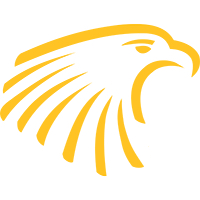 Yellow Eagle head